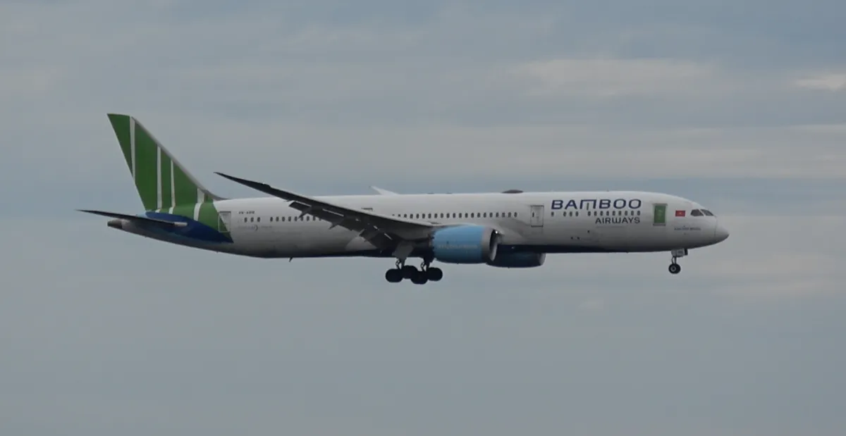 Bamboo Boeing 787 Dreamliner FRA bmine 2023 09 arrival 25C